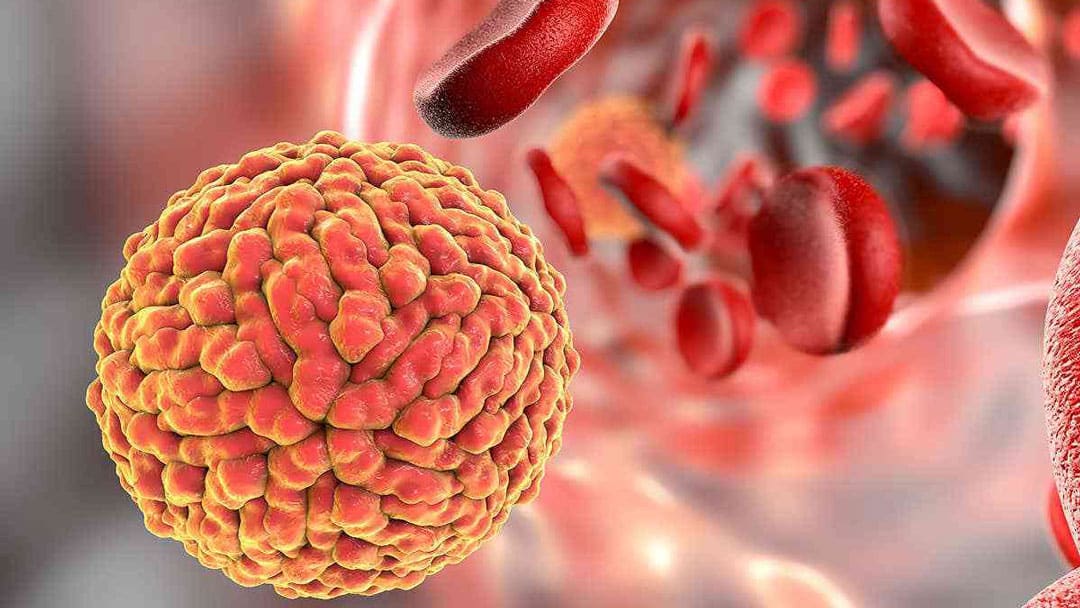 نوآوری های جدید در کاغذ